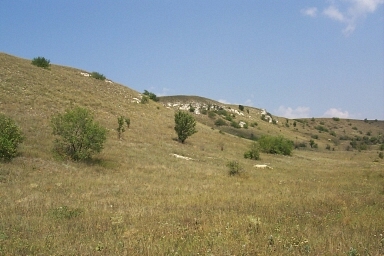 Typical habitat of Hemaris croatica croatica, Rostov, Russia. Photo: &copy; A. Poltavsky.
