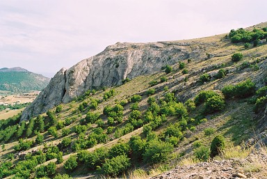Typical habitat of Hemaris croatica croatica, Crimea, Ukraine. Photo: &copy; Serge Yevdoshenko.