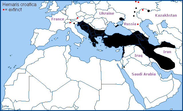 Global distribution of Hemaris croatica. Map: &copy; Tony Pittaway.