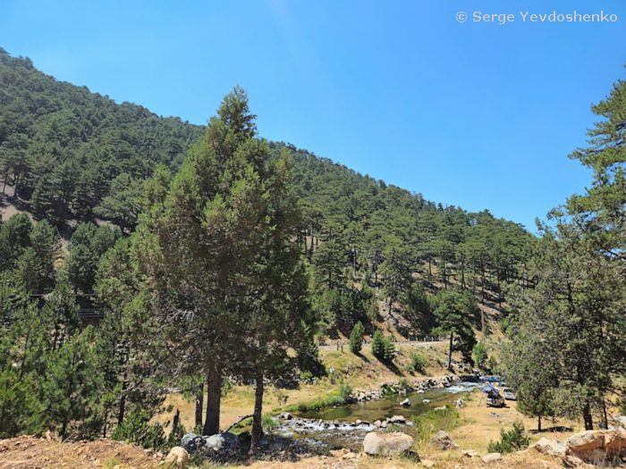 Habitat of Hemaris dentata, Anamas Daglari, Anatolia, Turkey, June 2024. Photo: &copy; Serge Yevdoshenko.