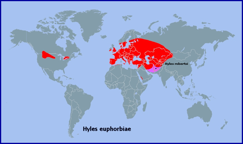 Global distribution of Hyles euphorbiae. Map: &copy; Tony Pittaway.