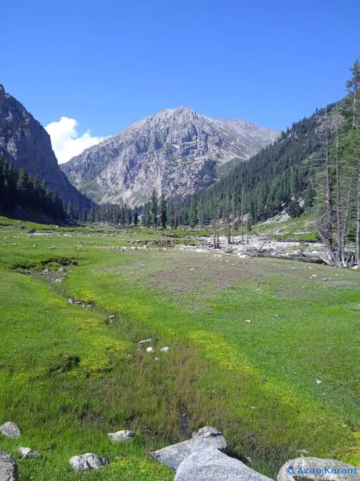 Typical habitat of Hyles nervosa, Janshai Meadow, Swat Valley, Khyber Pakhtunkhwa, northwestern Pakistan, viii.2022. Photo: &copy; Azan Karam.