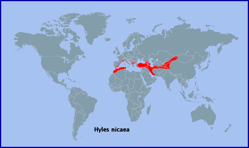 Global distribution of Hyles nicaea. Map: &copy; Tony Pittaway.