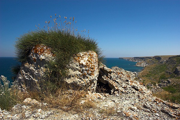Typical habitat of Hyles nicaea orientalis, Tarkhankut, W. Crimea, Ukraine. Photo: &copy; Nickolai Ivshin.