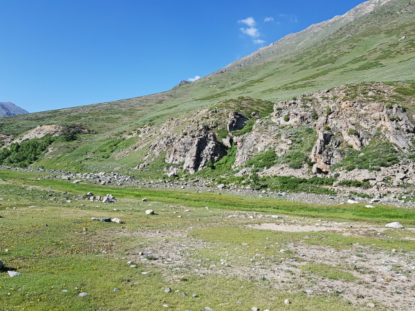 Typical habitat of Hemaris rubra, Chilam, Gilgit-Baltistan, Pakistan, 11.vii.2018, 2800m. Photo: &copy; Serge Yevdoshenko.