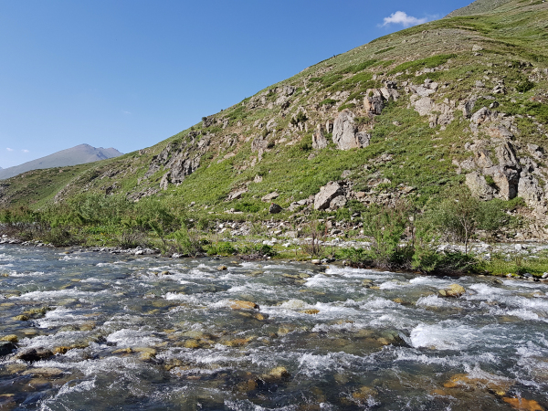 Typical habitat of Hemaris rubra, Chilam, Gilgit-Baltistan, Pakistan, 11.vii.2018, 2800m. Photo: &copy; Serge Yevdoshenko.