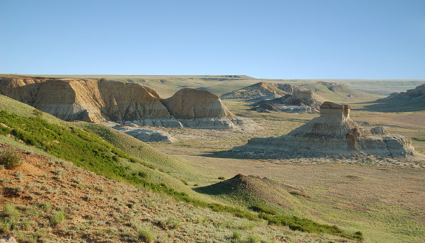 Typical habitat of Hyles svetlana, Shagyray Plateau, Aktobe region, western Kazakhstan. Photo: &copy; Dmitry Shovkoon.
