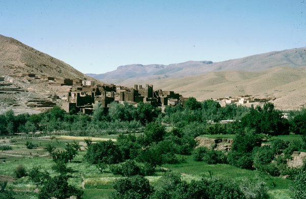 Typical desert habitat of Laothoe austauti, Dad&eacute;s Gorge, Morocco. Photo: &copy; Tony Pittaway.