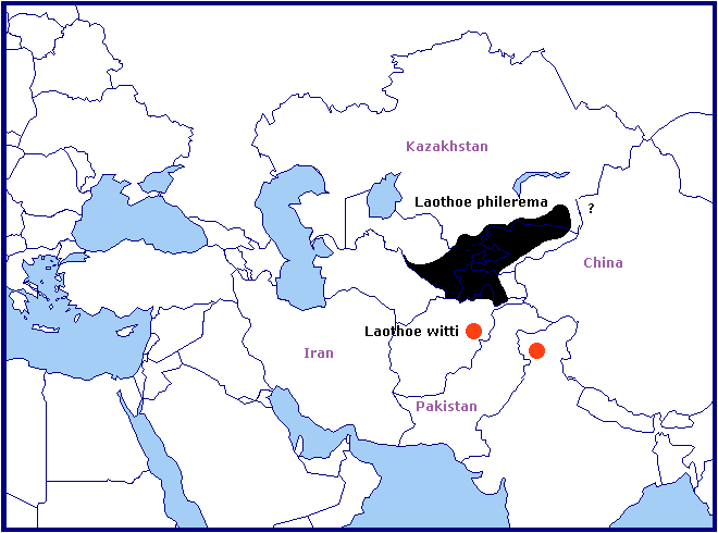 Global distribution of Laothoe philerema. Map: &copy; Tony Pittaway.