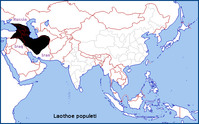 Global distribution of Laothoe populeti. Map: &copy; Tony Pittaway.