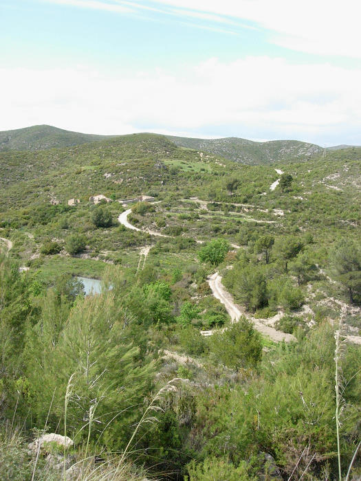 Typical habitat of Macroglossum stellatarum, Catalonia, Spain. Photo: &copy; Ben Trott.