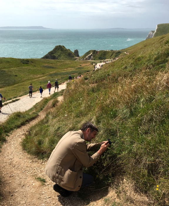 Typical coastal habitat of Macroglossum stellatarum (with Tony Pittaway), Durdle Dor, Lulworth, Dorset, England, 27.vii.2017. Photo: &copy; Qiaoqiao Zhang.