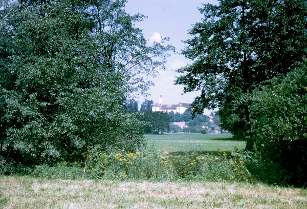 Typical habitat of Mimas tiliae tiliae, Weinburg am Sa�bach, SE Austria. Photo: &copy; Tony Pittaway.