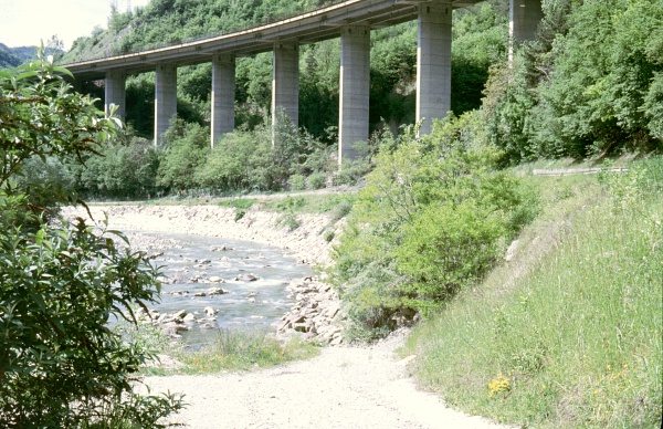 Typical habitat of Proserpinus proserpina, Northern Italy. Photo: &copy; Tony Pittaway.