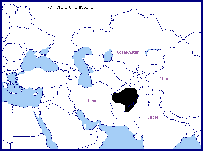 Global distribution of Rethera afghanistana. Map: &copy; Tony Pittaway.