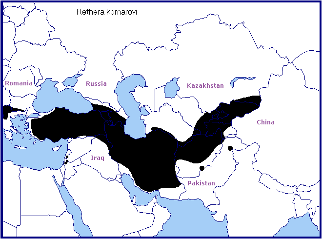 Global distribution of Rethera komarovi. Map: &copy; Tony Pittaway.
