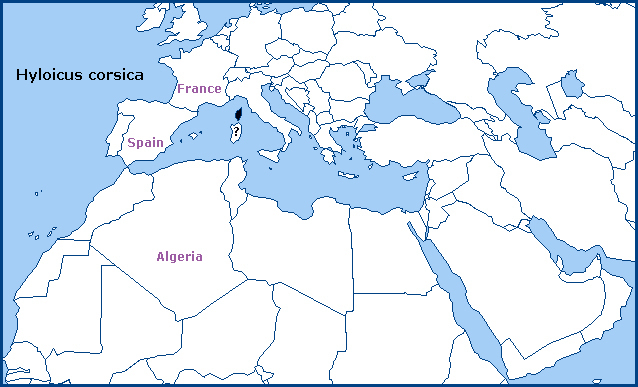 Global distribution of Hyloicus corsica. Map: &copy; Tony Pittaway.