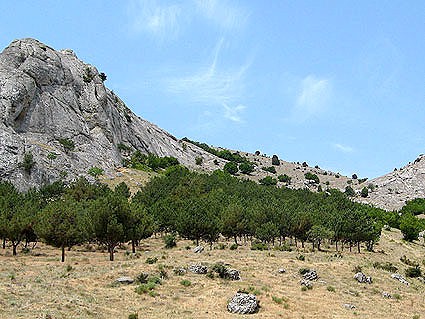 Typical habitat of Sphingonaepiopsis gorgoniades, eastern Crimea, Ukraine. Photo: &copy; Vyacheslav Ivonin & Natalie Ivonina.