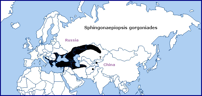 Global distribution of Sphingonaepiopsis gorgoniades. Map: &copy; Tony Pittaway.