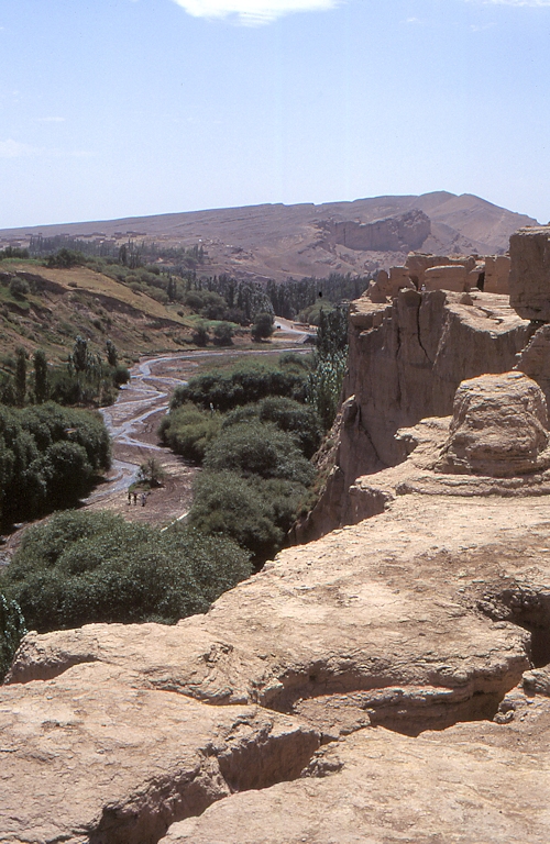 Typical habitat of Smerinthus kindermannii, near Turpan, Xinjiang, China, 1995. Photo: &copy; Tony Pittaway.